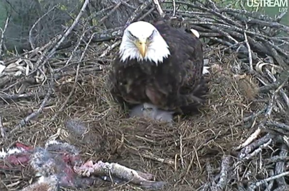 ScreenHunter_42 Mar. 31 19.17.jpg